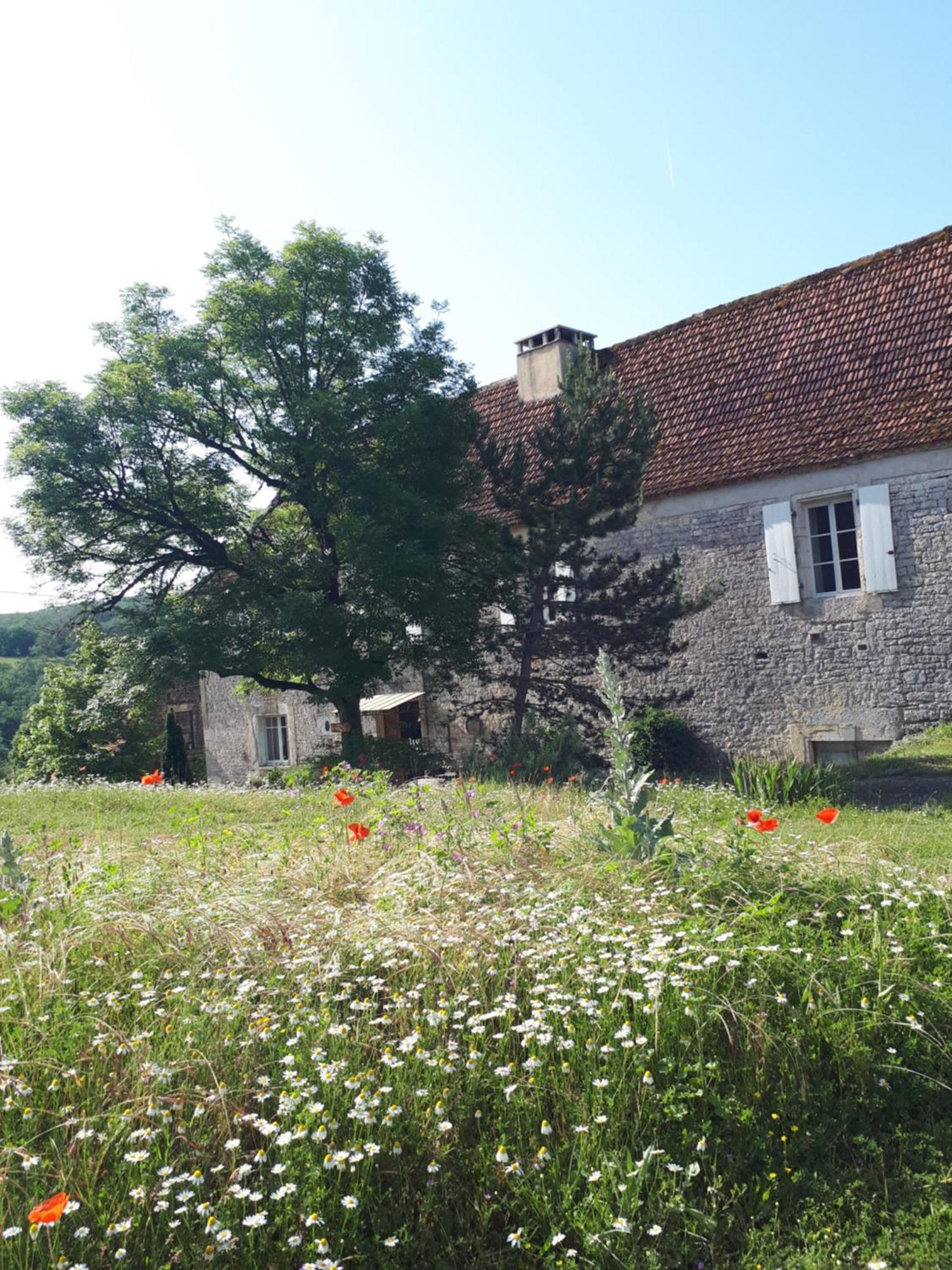 La Ferme De Roquedure Hotel Montfaucon  Exterior foto